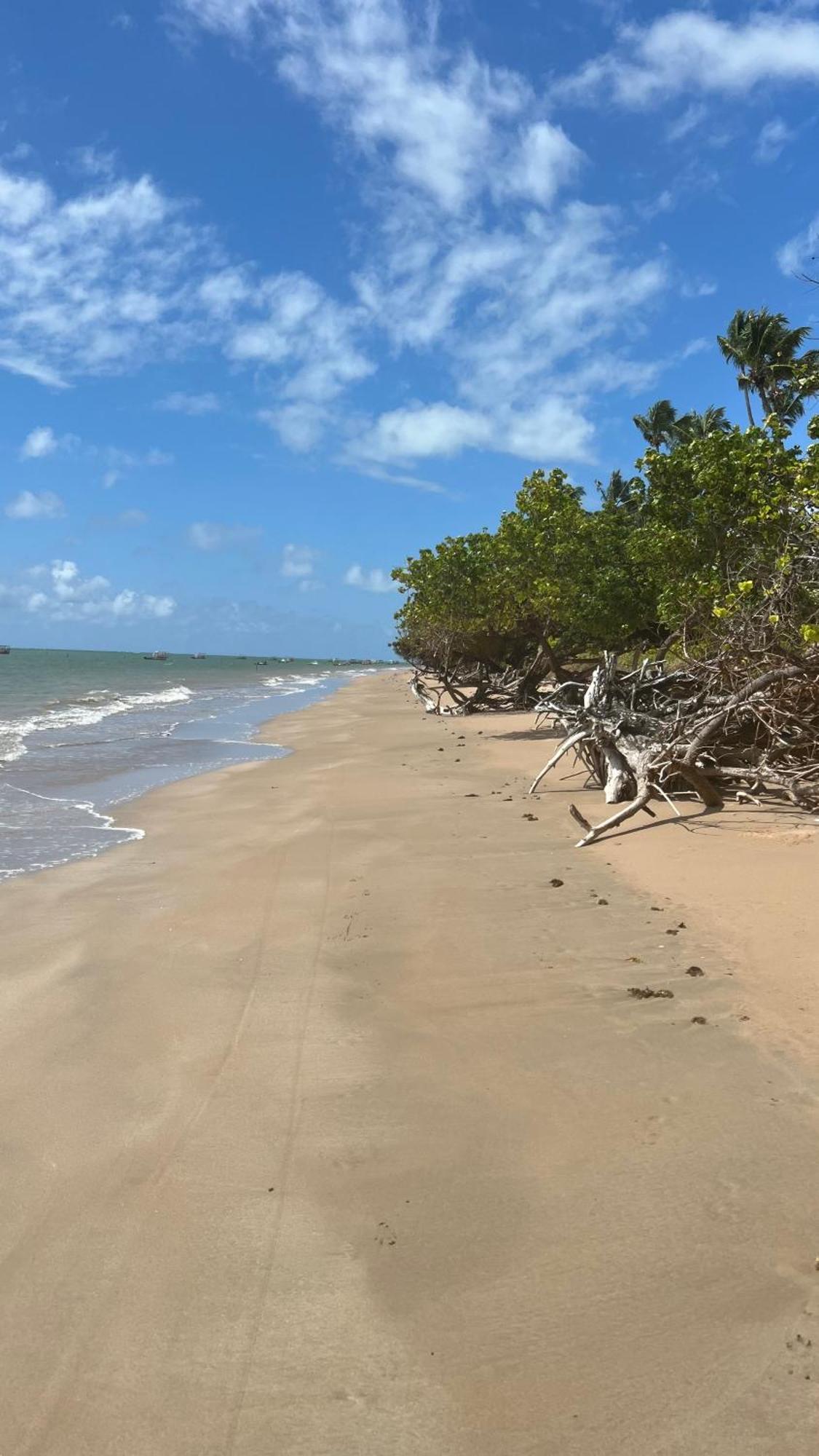 Pôrto de Pedras Casa De Luxo Na Praia Do Patacho - Cond. Azulu, Casa 04 빌라 외부 사진