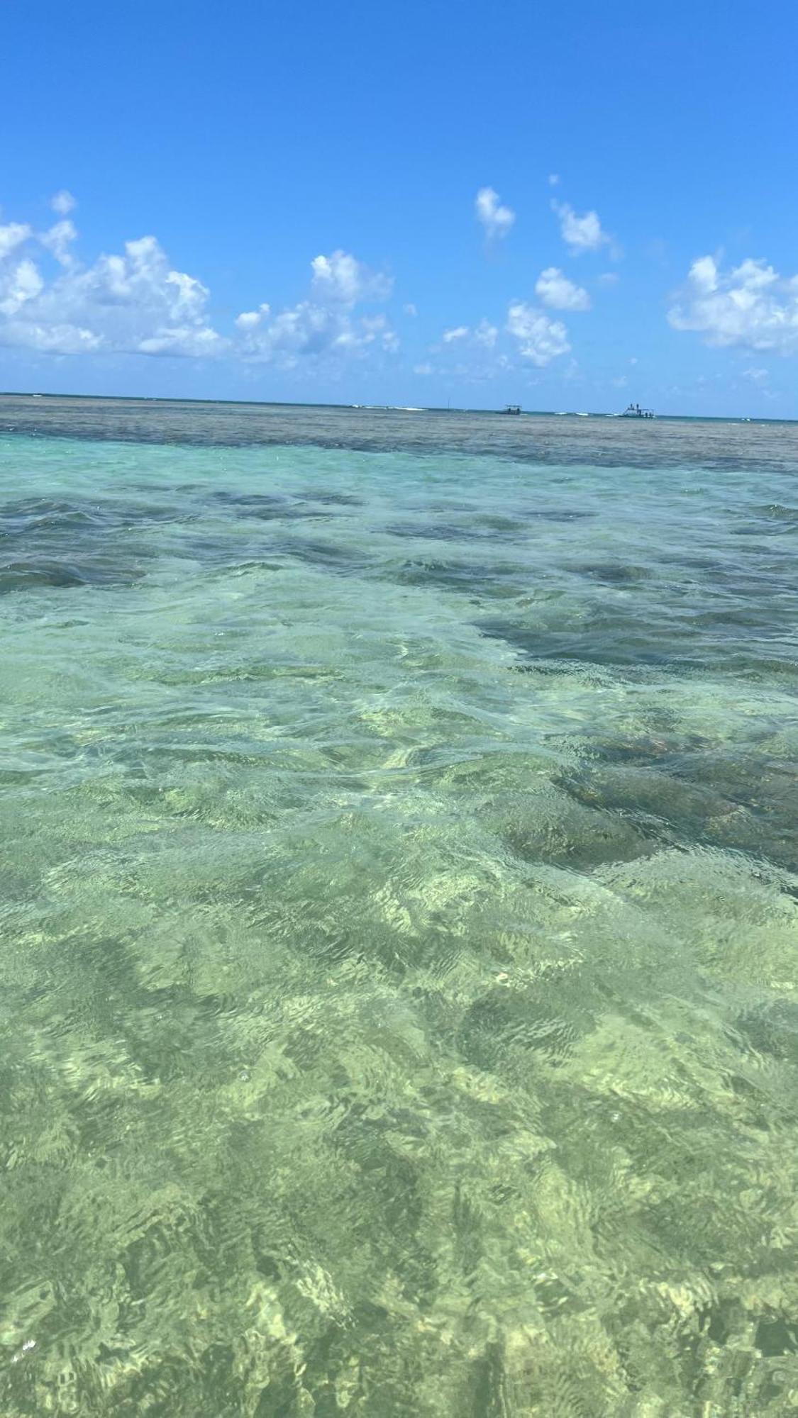 Pôrto de Pedras Casa De Luxo Na Praia Do Patacho - Cond. Azulu, Casa 04 빌라 외부 사진